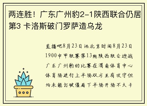 两连胜!广东广州豹2-1陕西联合仍居第3 卡洛斯破门罗萨造乌龙 两连胜!广东广州豹2-1陕西联合仍居第3 卡洛斯破门罗萨造乌龙